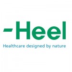 Heel